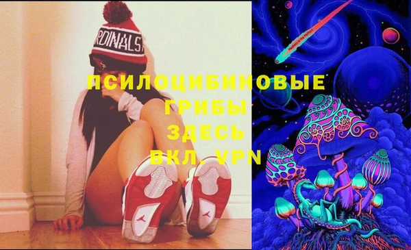 мдма Новозыбков